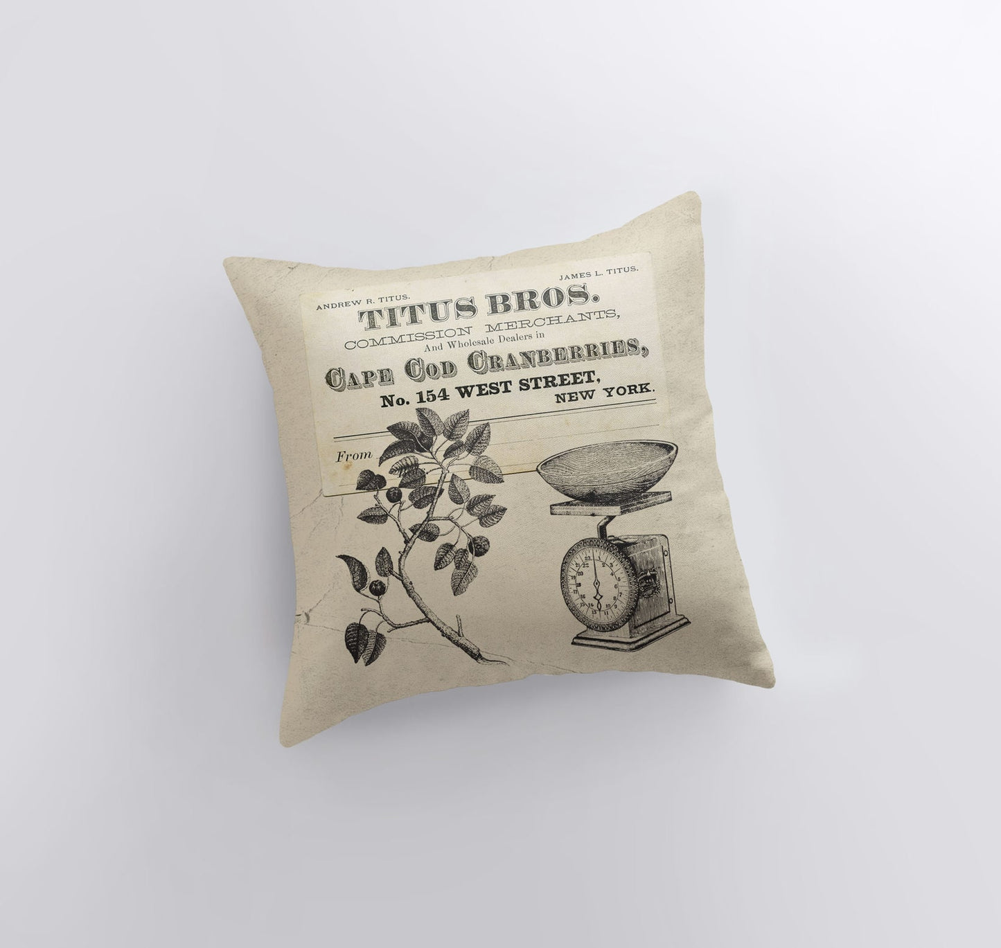 Cape Cod | Cape Cod Home Decor | Cranberries | Pillow Cover | Vintage